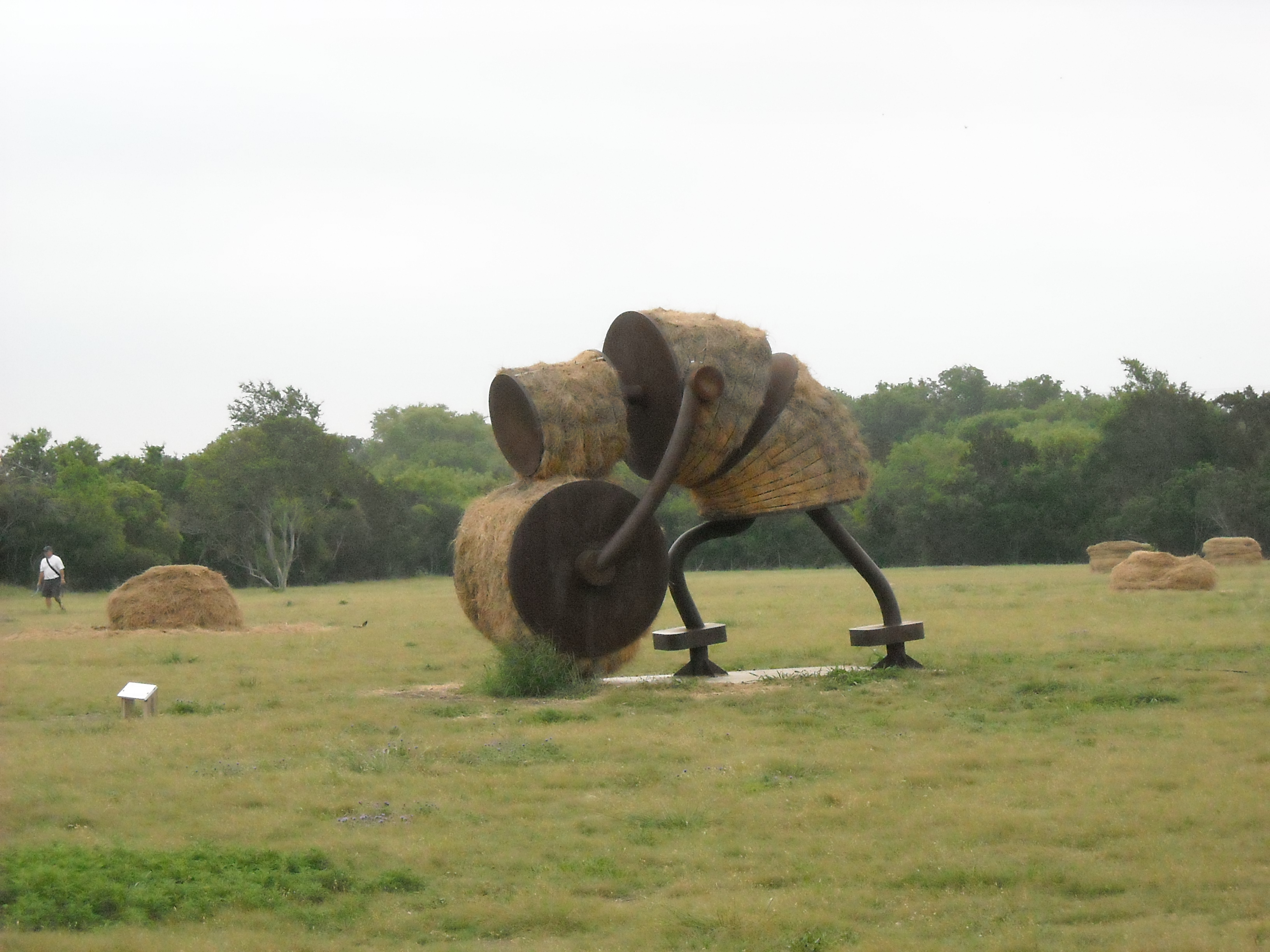 Makin' Hay